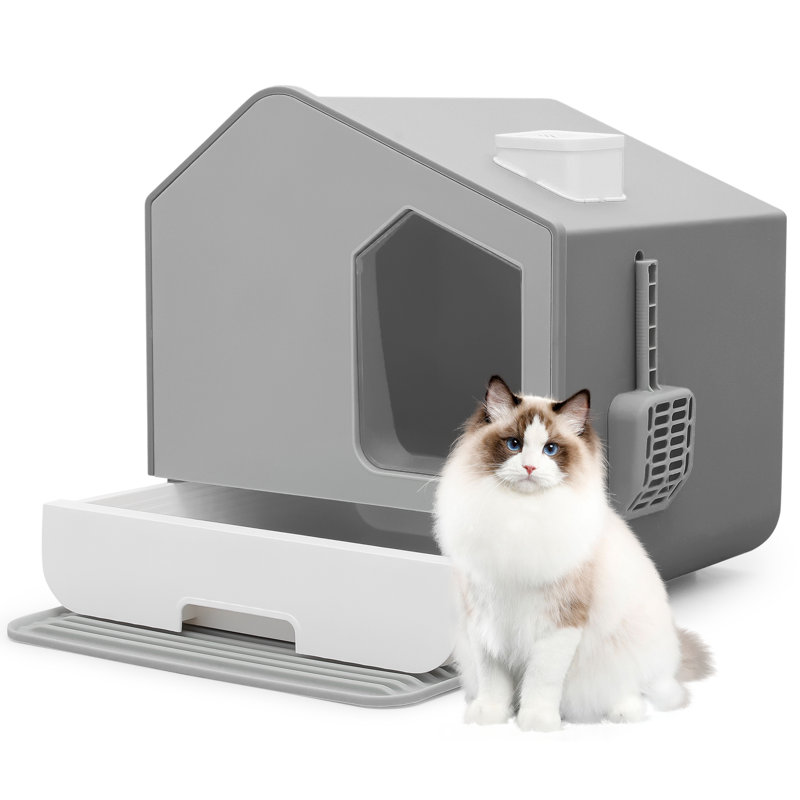 Cat potty litter box best sale